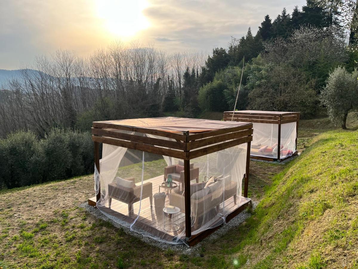 Bed and Breakfast Casa Del Pino Borgo a Buggiano Exterior foto