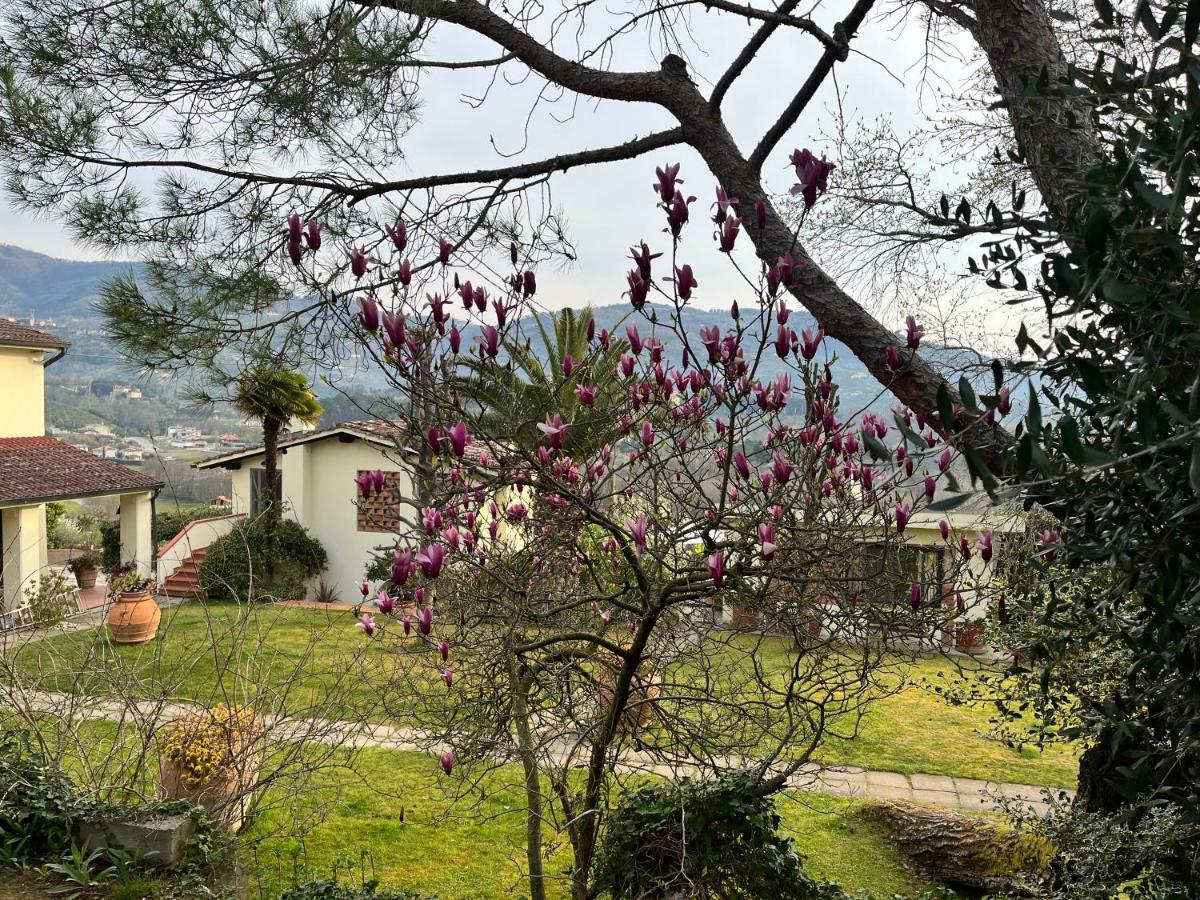 Bed and Breakfast Casa Del Pino Borgo a Buggiano Exterior foto