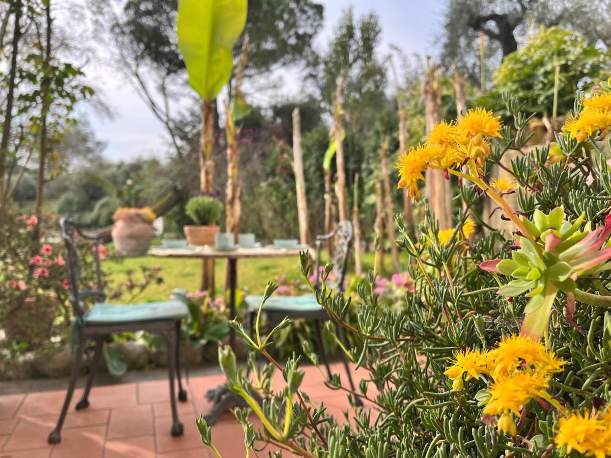 Bed and Breakfast Casa Del Pino Borgo a Buggiano Exterior foto
